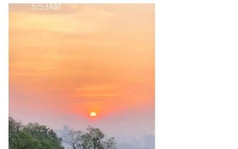 凌晨三四点，宝石山都是人？“夏天一定要看一次日出”刷屏朋友圈