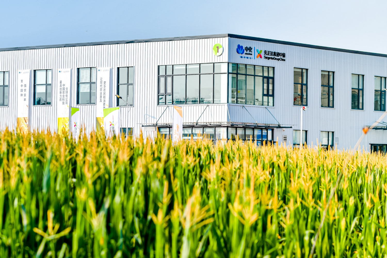 精研发之芯 强种业之基 先正达集团中国夏玉米研发中心正式启用