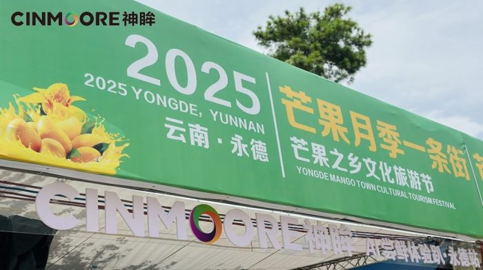 202506301453511848791299