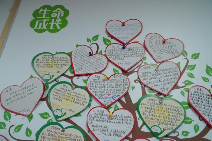 20250721193747333531914 20250721193747333531914