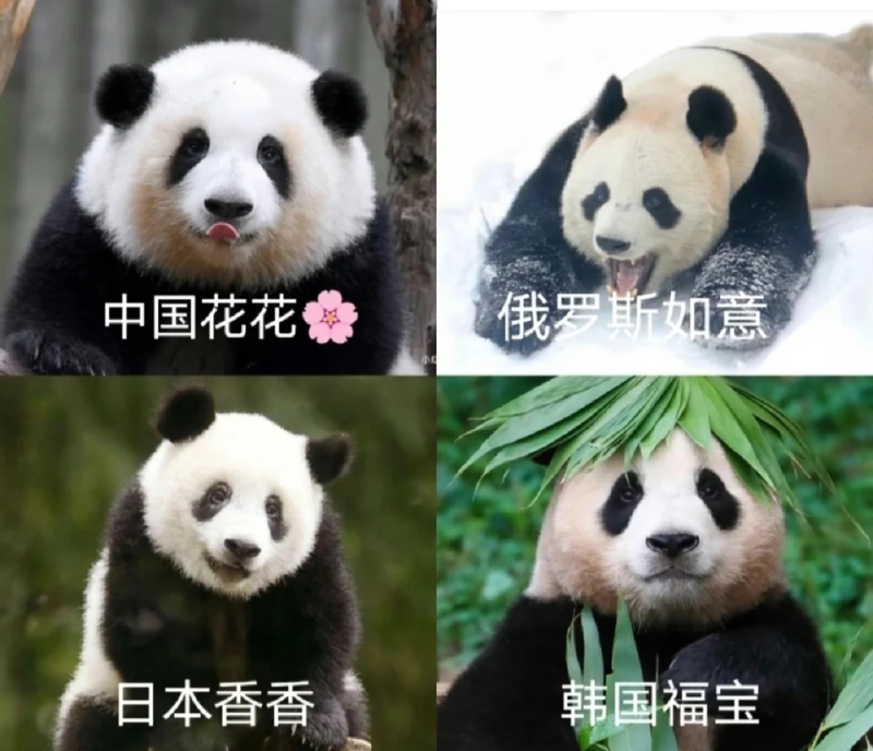 6c6f35f0f5fa5012eba61b069fe8c7b6