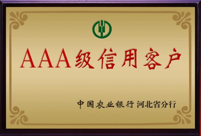 202511201319531938983776