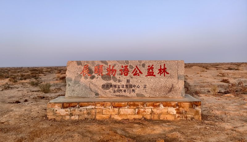 甜满中国·绿动民勤，辰颐物语公益林开种！