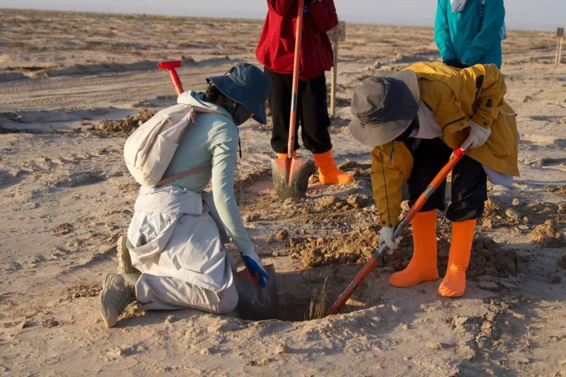 6389802554152829262634362 6389802554152829262634362