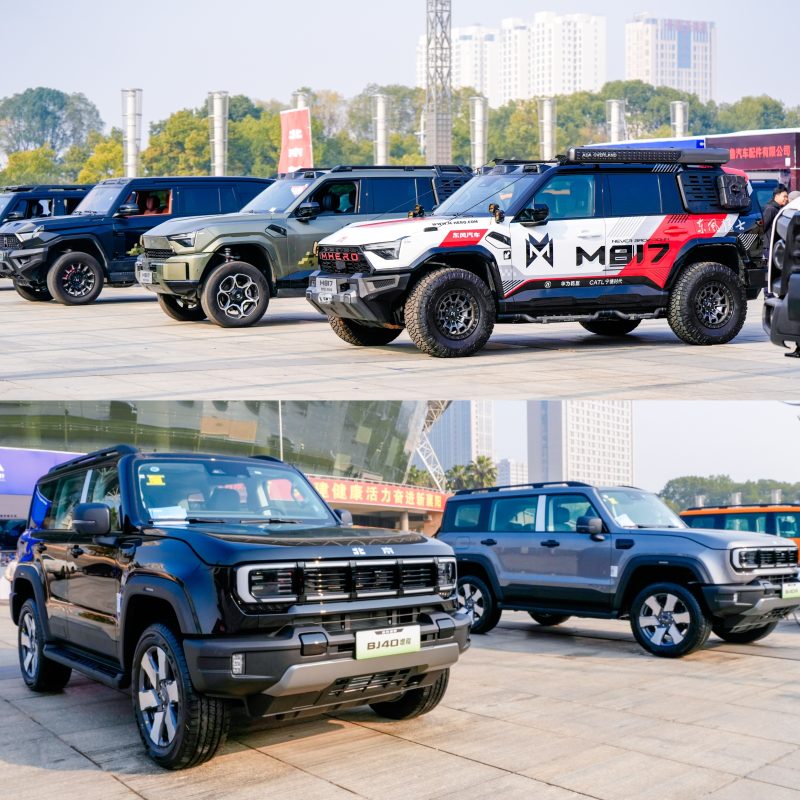 20251221230643927601096