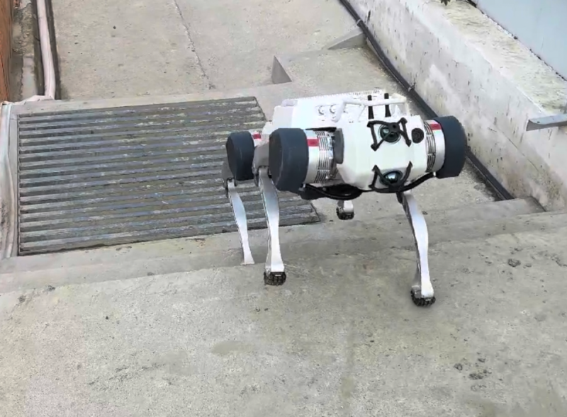 6390097123552852639807531