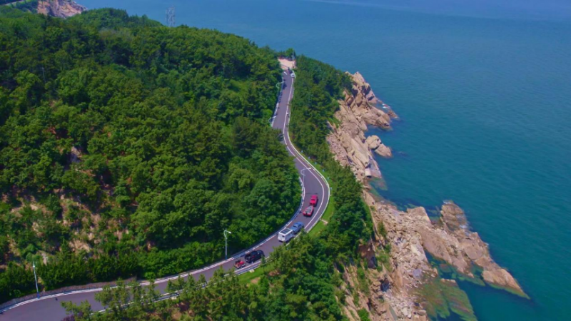 20260104202404490401686 20260104202404490401686