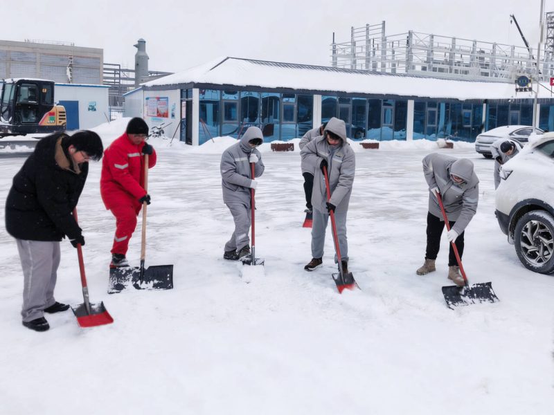 79e20b7e22c6bc717b06787145fdb2ed