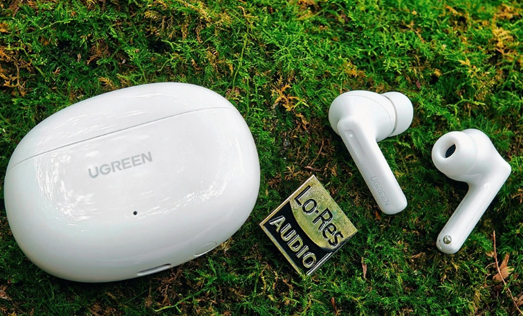 202602091716181733136685 202602091716181733136685