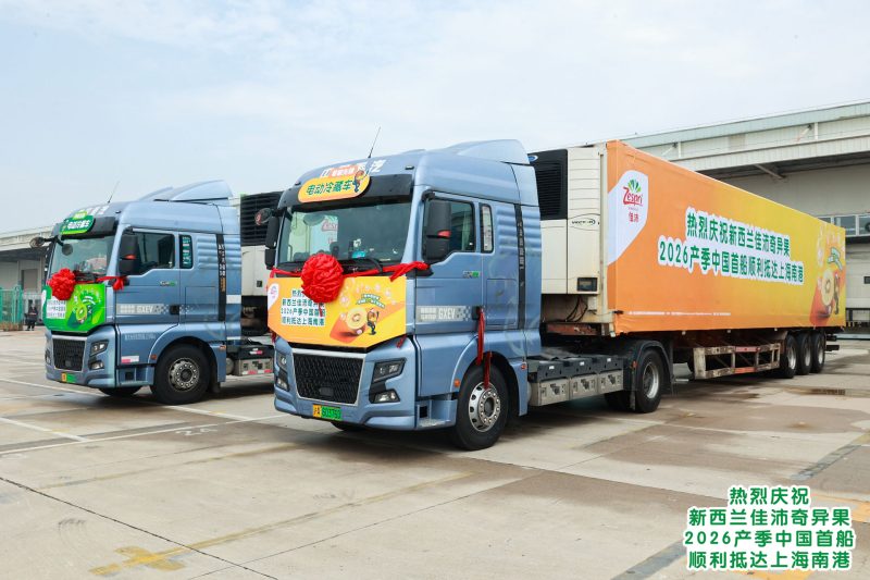 69ca262a93b56 69ca262a93b56